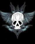 pic for Skull wings